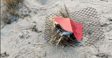 Россияне жгут военные билеты. В РФ изобретают способы как избежать мобилизации