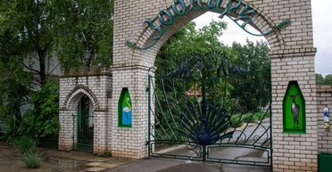 "Они его уничтожают": оккупанты разграбили заповедник "Аскания Нова", — ОВА