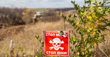 Вистачить самим і трохи на експорт. Скільки зерна втратила Україна через війну