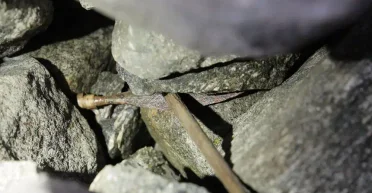 Секреты льда: археологи исследуют норвежские горы в поисках древних артефактов