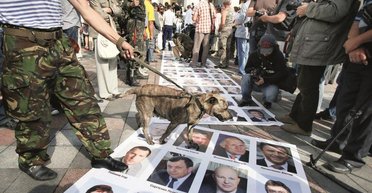 Интоксикация. Почему следующие выборы могут убить страну