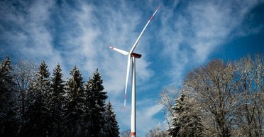 Швеция массово отказывается от ветряных турбин, иначе страну ждет крах: что случилось