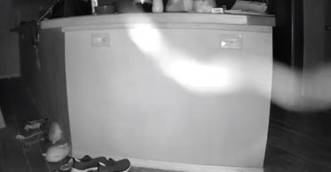 Полоскотало нерви двом жінкам: на камеру спостереження потрапила невідома істота (відео)