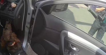 Поліцейський собака винюхав кокаїн, який заховали у шкарпетці (фото, відео)