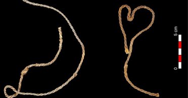 Древнейшие из обнаруженных в Европе: что нашли шахтеры в испанской пещере Летучих мышей (фото)