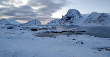 Найхолодніший континент: учені розповіли, коли Антарктида не була вкрита льодом і чому