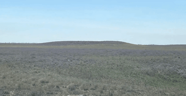 Удивили размерами и формой: археологи нашли более 150 степных курганов (фото)