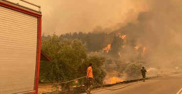 Жінка влаштовувала підпали, щоб подивитися на пожежників і пофліртувати з ними (відео)