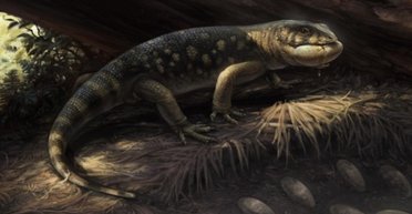 Учені виявили "принца-гобліна", який жив поруч із динозаврами 76 млн років тому (фото)