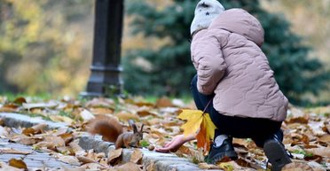 "Бабье лето" и заморозки: какая погода будет в Украине 3 октября и на выходных (карта)