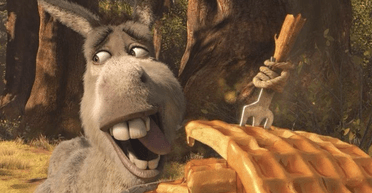 Дожил до 30 лет: в США умер осел Перри, прототип героя мультфильма "Шрек"