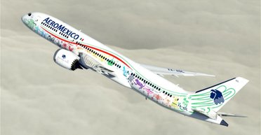 Дитина народилася під час польоту і отримала право на безкоштовні перельоти (фото)