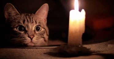 Коли в Києві найчастіше відключають світло і чому не дотримуються графіка