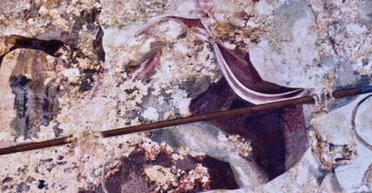 У Греції знайшли священний артефакт Олександра Македонського: він робив богами стародавніх царів (фото)