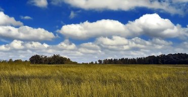 Приватна компанія хотіла закрити від Сонця 10 тисяч км²: про це дізналися випадково