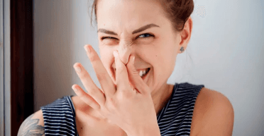 Причини неприємного запаху в будинку: як їх уникнути