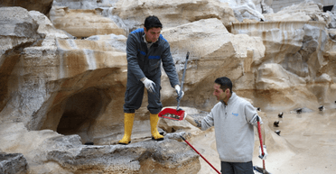 Что происходит с монетами, брошенными в фонтан Треви в Риме (фото)