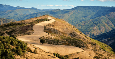 Пенсіонер три дні виживав у яру, харчуючись лише вином: рятувальники не могли повірити