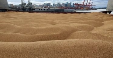 "Дискуссии за кулисами продолжаются": постпред США рассказала о переговорах по "зерновой сделке"