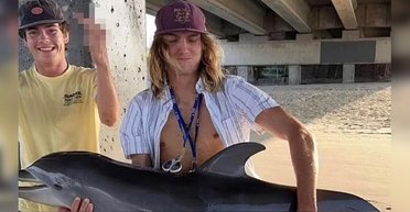 У США дельфін, якого витягли з океану для знімка в Instagram, знайдений мертвим (відео)