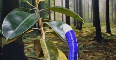 Робот-лоза FiloBot растет благодаря солнечному свету, но поливать его не нужно (видео)