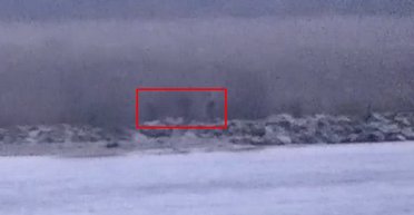 Российские пограничники пересекли границу Эстонии: подплыли на катере, стояли 20 минут (видео)