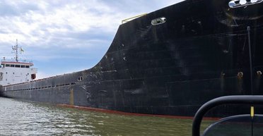 Вивезло 5 тисяч тонн українського зерна: в Чорному морі затримали судно "тіньового флоту" РФ (фото)