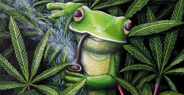 Запретить указом. Что еще нужно искоренить в Украине