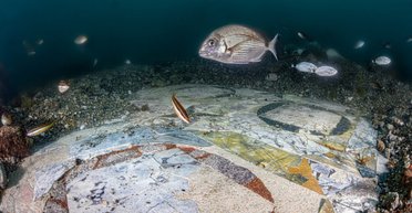 Дано не каждому: в Италии обнаружили затонувшую римскую виллу с уникальным полом (фото)