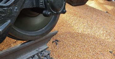 "Очередная политическая провокация": рассыпанное поляками зерно направлялось в Германию, — Укрзализныця