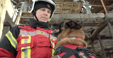 Любит сардельки и спасает людей: в ГСЧС рассказали, как овчарка Ава помогает им (видео)