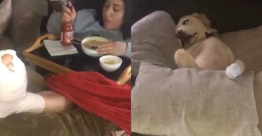 Цуценя "травмувало" лапу, щоб бути як господиня, і стало зіркою в TikTok