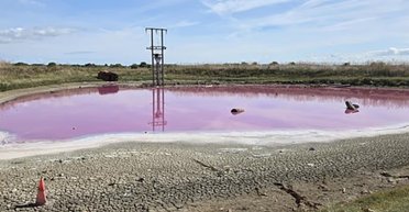 Розовое чудо посреди пустыни: туристы нашли озеро невероятного цвета (фото)