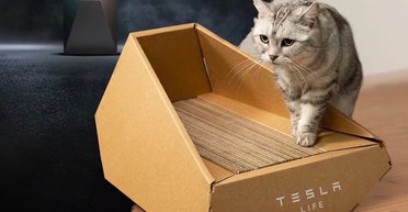 Tesla представила котячий лоток із картону у формі Cybertruck (фото)