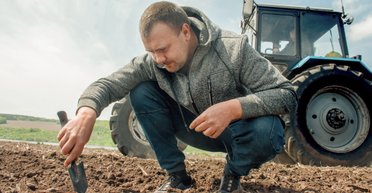 Українське зерно проти польських овочів. Як вітчизняні агрохолдинги програють міжнародну конкуренцію