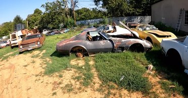 Раритеты под открытым небом: обнаружена большая заброшенная коллекция ретроавто (видео)