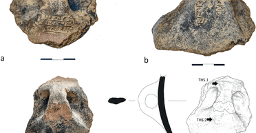 Первый шаг к письменности: террасские печати изменят историю человечества (фото)