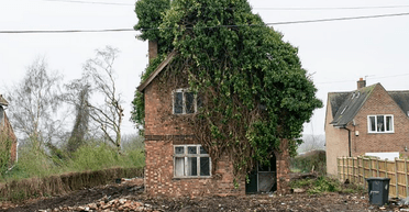 Соседи не знали о нем: в Англии сказочный дом 40 лет был спрятан за "джунглями"