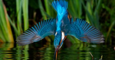 Открывая Украину. Как Фокус развивает туристический потенциал страны