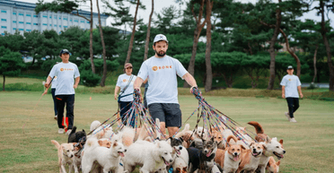 Чоловік встановив світовий рекорд, вигулявши одночасно 38 собак (фото, відео)