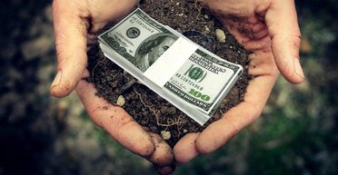 Продать все. Кабмин планирует продажу земли иностранцам, а фермеры начинают акции протеста