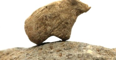 Артефакты докерамического неолита: раскопки в Турции принесли новые находки (фото)