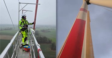 Больше энергии и меньше шума: ветряные турбины получили "перья", как у совы (видео)