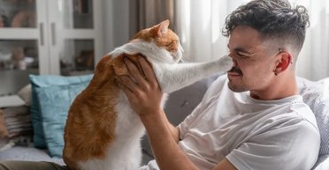 Жінка залишила кішку другові на пів року, а по поверненню отримала рахунок, як із готелю