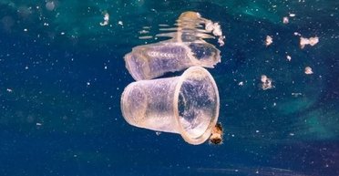 Казка для екоактивістів. Біорозкладний пластик не розкладається навіть за рік у воді або на суші