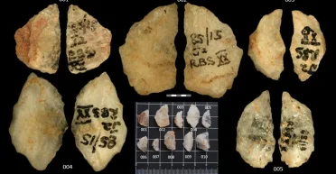 Достигли мастерства в охоте еще 60 000 лет назад: древние стрелы раскрыли секрет