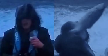 Риба вдарила ведучого по обличчю під час репортажу про сильний шторм (відео)