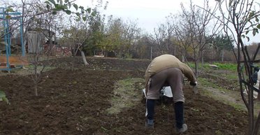 Поколение дачников и сторожей. Ода экономической неэффективности