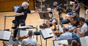 Разбили 20 авто: полиция посоветовала жителям включать классическую музыку, чтобы отпугнуть бандитов