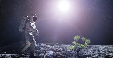 Китай створив першу в історії місячну ферму: вона довела, що рослини можуть рости на Місяці